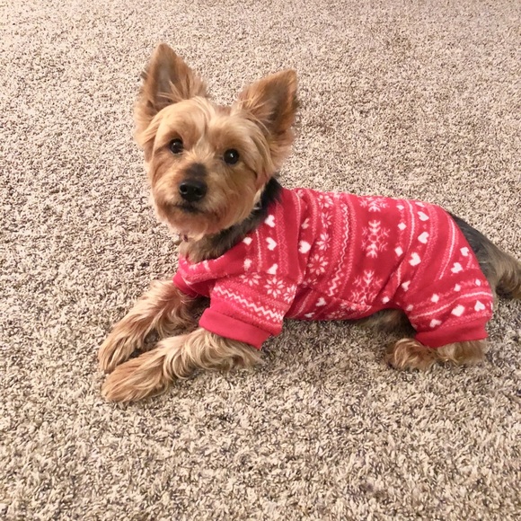 Meet your Posher, Skylar - Picture 1 of 1